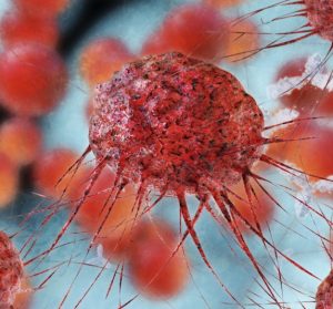 What is HIV and What Does HIV Stand For?