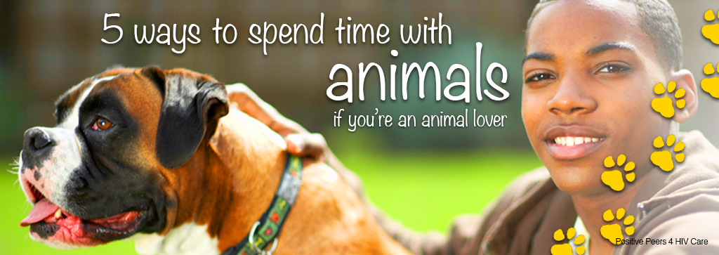 5 ways to spend time with animals if you're an animal lover - Positive Peers