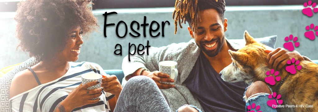 positive-peers-animals